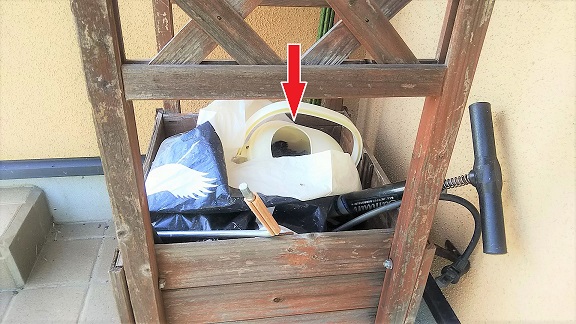 滋賀県長浜市でじょうろの中に営巣したアシナガバチの蜂の巣駆除
