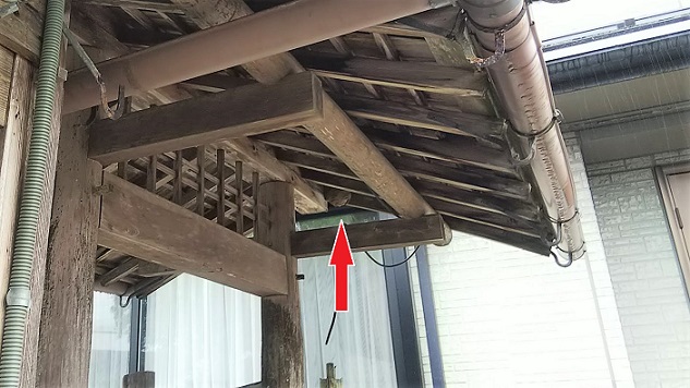 滋賀県高島市で庭門の軒下に営巣したコガタスズメバチの蜂の巣駆除