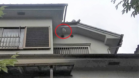大阪府高槻市で２階軒下に営巣したキイロスズメバチの蜂の巣駆除