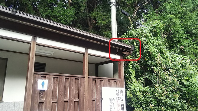 滋賀県大津市で屋外トイレ軒天内営巣したキイロスズメバチの蜂の巣駆除