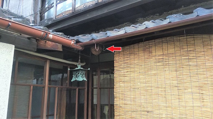 滋賀県守山市で中庭軒下に営巣したコガタスズメバチの蜂の巣駆除
