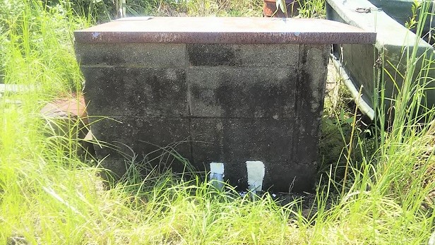 滋賀県守山市でコンクリートブロック囲い内に営巣したモンスズメバチの蜂の巣駆除
