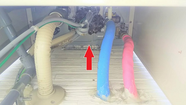 大阪府枚方市で給湯器内に営巣したアシナガバチの蜂の巣駆除