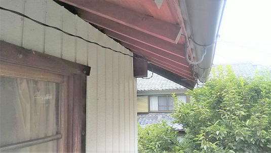 滋賀県米原市で２階軒下に営巣したコガタスズメバチの蜂の巣駆除