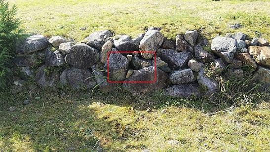 滋賀県蒲生郡日野町で自然公園内の石垣に営巣したアシナガバチの蜂の巣駆除