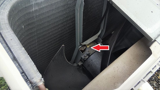 滋賀県甲賀市水口町でエアコン室外機の中に営巣したアシナガバチの蜂の巣駆除