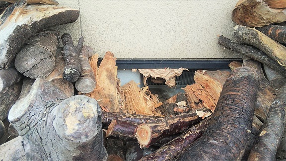 滋賀県米原市で薪の裏（基礎通気口）に営巣したモンスズメバチの蜂の巣駆除