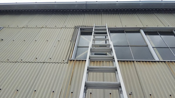 京都府乙訓郡大山崎町で工場の外壁サッシに営巣したアシナガバチの蜂の巣駆除