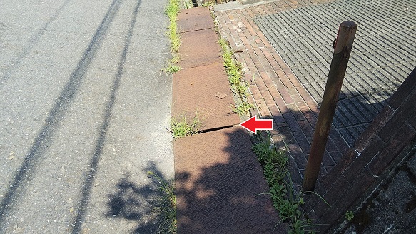 滋賀県大津市で駐車場前の側溝蓋の下に営巣したアシナガバチの蜂の巣駆除