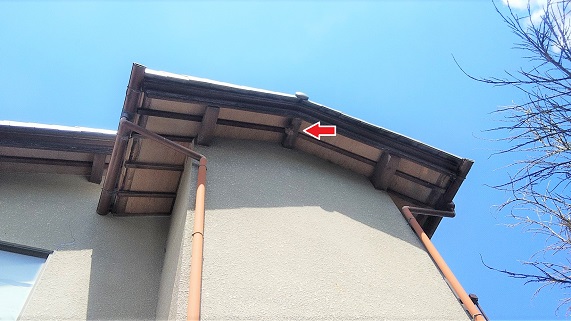 滋賀県大津市で2階の軒下に営巣したキイロスズメバチの蜂の巣駆除