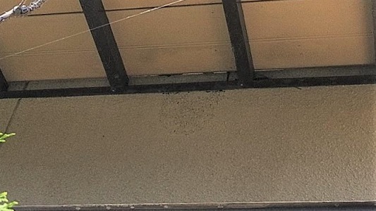 滋賀県大津市でベランダ下外壁に営巣したコガタスズメバチの蜂の巣駆除