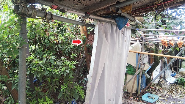 滋賀県守山市でガレージ横に営巣したコガタスズメバチの蜂の巣駆除