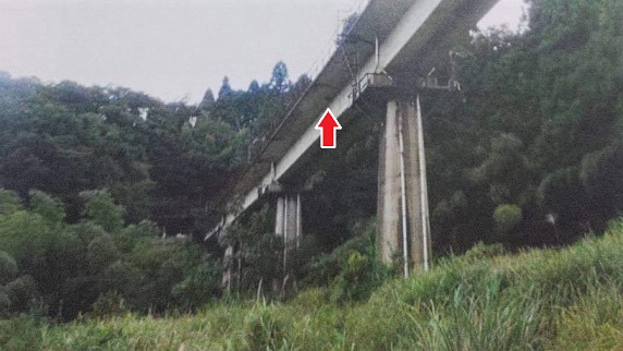 滋賀県長浜市で鉄道高架橋の桁下に営巣したキイロスズメバチの蜂の巣駆除