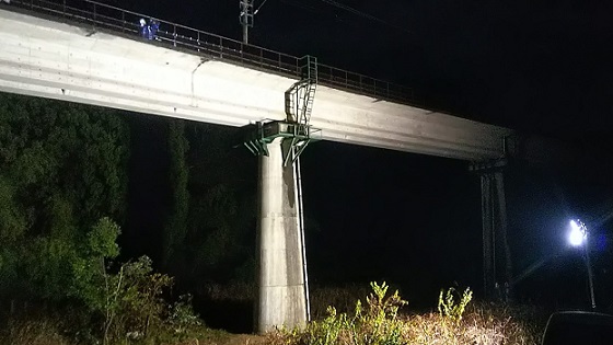 滋賀県長浜市で鉄道高架橋の桁下に営巣したキイロスズメバチの蜂の巣駆除