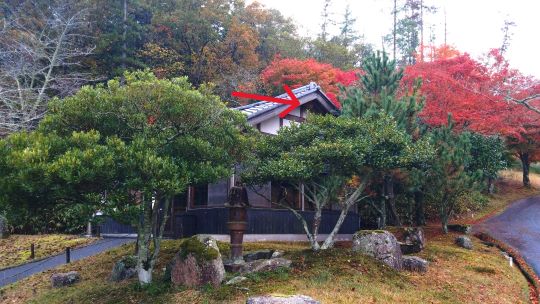 滋賀県甲賀市信楽町でゴルフ場コース脇茶店の軒下に営巣したキイロスズメバチの蜂の巣駆除