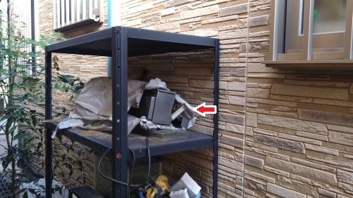 滋賀県大津市で屋外棚に営巣したアシナガバチの蜂の巣駆除