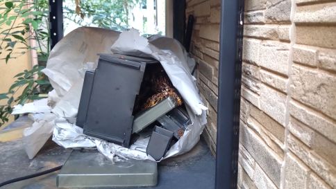 滋賀県大津市で屋外棚に営巣したアシナガバチの蜂の巣駆除