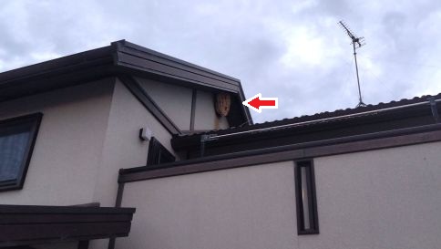 滋賀県守山市で2階軒下に営巣したモンスズメバチの蜂の巣駆除