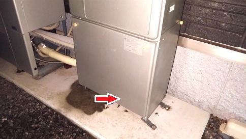 滋賀県栗東市で屋外ガス給湯器内に営巣したアシナガバチの蜂の巣駆除