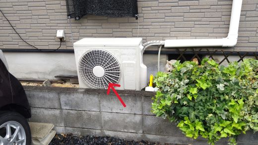 滋賀県湖南市でエアコン室外機内に営巣したアシナガバチの蜂の巣駆除