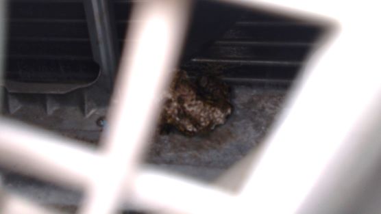 滋賀県湖南市でエアコン室外機内に営巣したアシナガバチの蜂の巣駆除