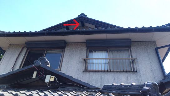 滋賀県米原市で２階棟木に営巣したキイロスズメバチの蜂の巣駆除
