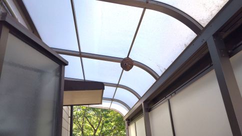 京都府綴喜郡井出町で物置の天井に営巣したコガタスズメバチの蜂の巣駆除