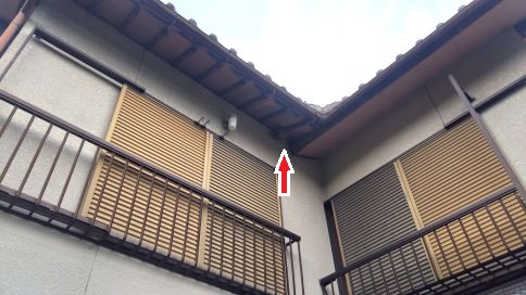 京都府八幡市で２階の軒下に営巣したキイロスズメバチの蜂の巣駆除