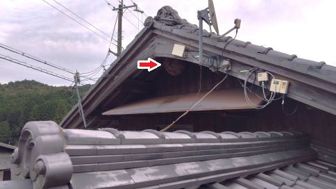 大阪府三島郡島本町で２階の軒下に営巣したキイロスズメバチの蜂の巣駆除