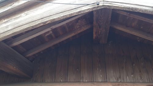 大阪府三島郡島本町で２階の軒下に営巣したキイロスズメバチの蜂の巣駆除
