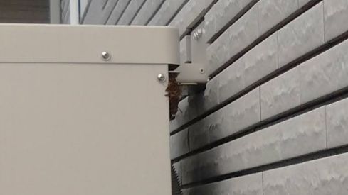 京都府木津川市で屋外ガス給湯器の裏に営巣したアシナガバチの蜂の巣駆除