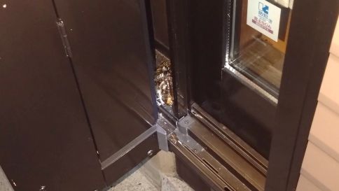 滋賀県甲賀市甲南町で雨戸の戸袋内に営巣したアシナガバチの蜂の巣駆除