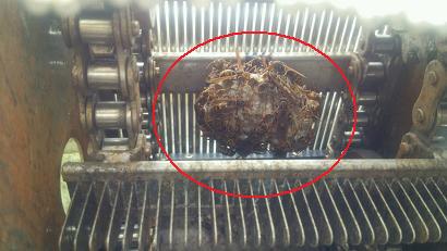 滋賀県大津市で研究施設内の装置に営巣したアシナガバチの蜂の巣駆除