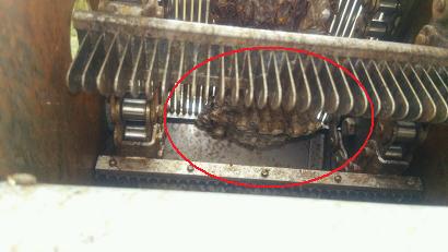 滋賀県大津市で研究施設内の装置に営巣したアシナガバチの蜂の巣駆除