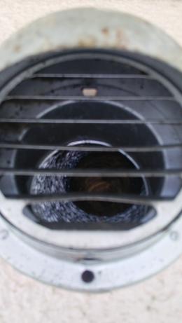 滋賀県大津市で２Fのトイレの換気扇ダクト内に営巣したコガタスズメバチの蜂の巣駆除