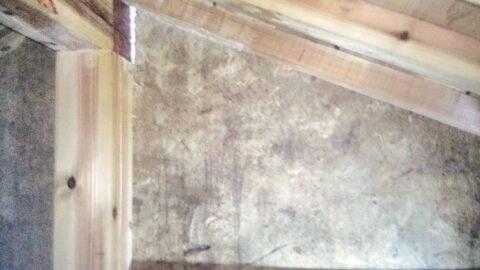 滋賀県長浜市で二階屋根裏に営巣したミツバチの蜂の巣駆除