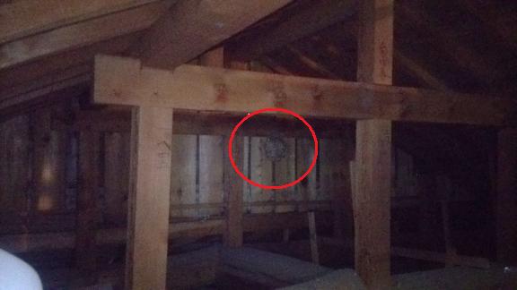 滋賀県大津市で屋根裏に営巣したキイロスズメバチの蜂の巣駆除