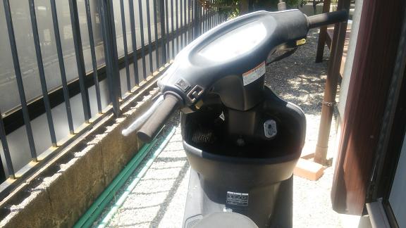 滋賀県大津市でスクーターのポケットに営巣したアシナガバチの蜂の巣駆除