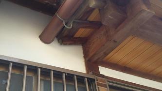 守山市　蜂　ハチ　蜂の巣　駆除　滋賀　京都　大阪　三重　福井