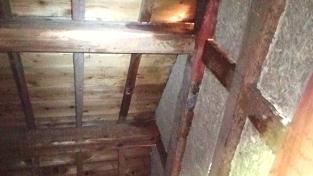 滋賀県米原市で二階屋根裏に営巣したキイロスズメバチの蜂の巣駆除