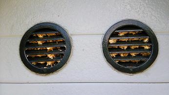滋賀県高島市で屋根裏通気口の蜂の巣予防